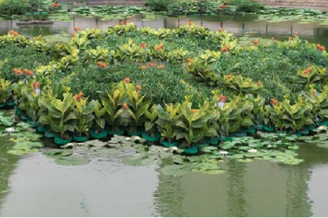 常見河道、濕地水生態(tài)修復(fù)技術(shù)節(jié)選